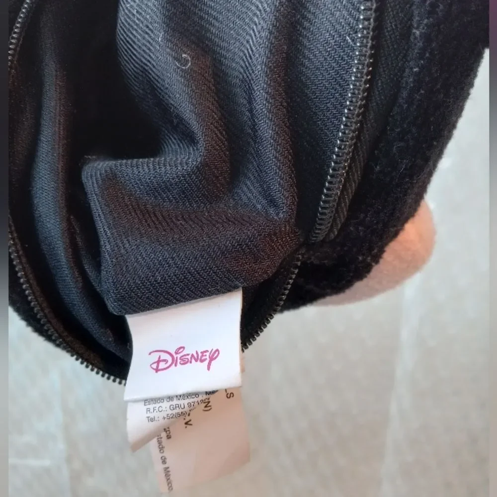 Disney Parks 10